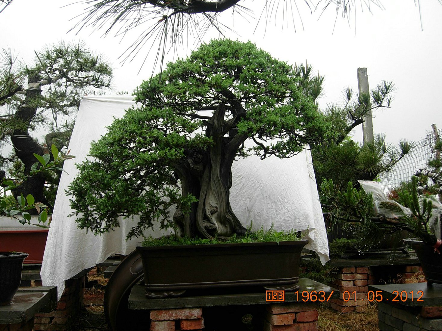 DSCN6022.JPG