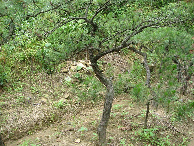 DSC01108_.jpg