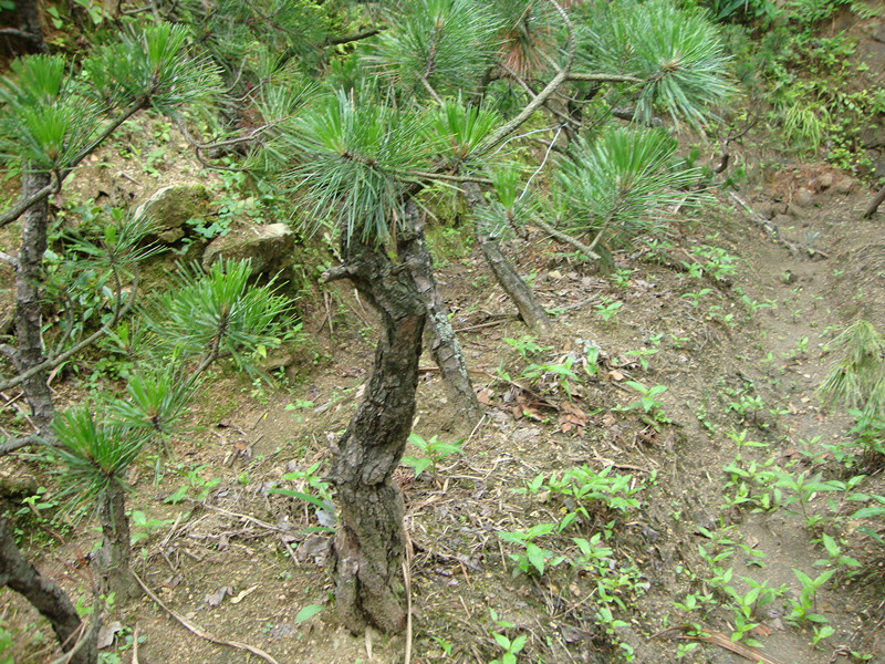 DSC01110_.jpg