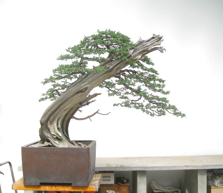 2013613ո