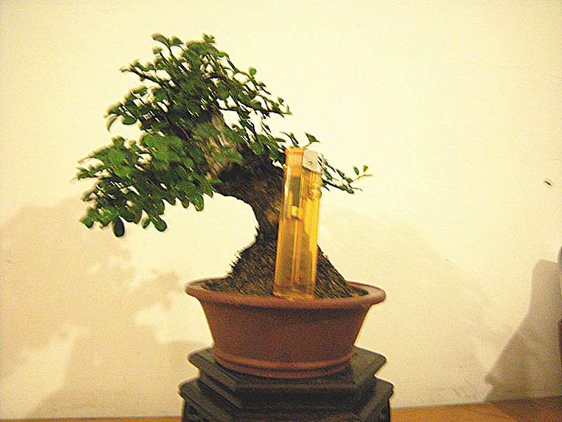 DSCN2636_.jpg