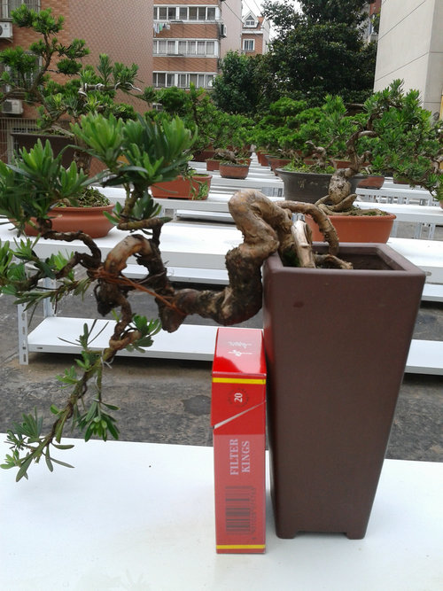 2013-06-13 14.39.37.jpg