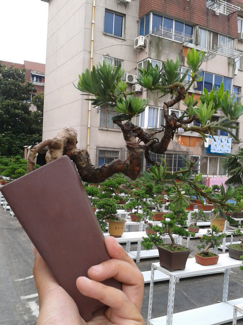 2013-06-13 14.30.52.jpg