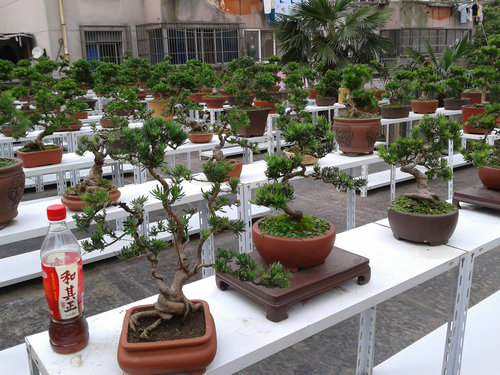 2013-06-13 16.50.10.jpg
