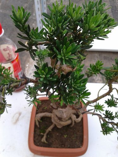 2013-06-13 16.48.34.jpg