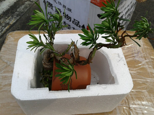 2013-06-13 15.52.41.jpg
