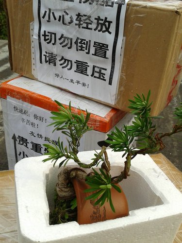2013-06-13 15.52.53.jpg