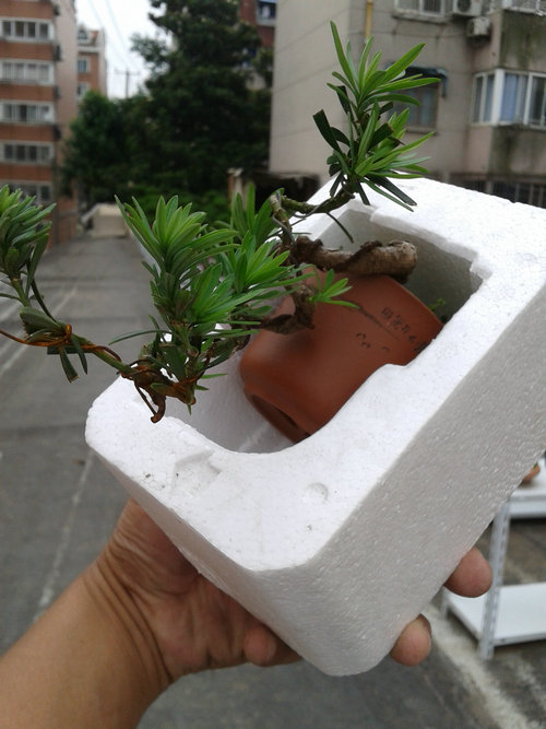 2013-06-13 15.54.15.jpg
