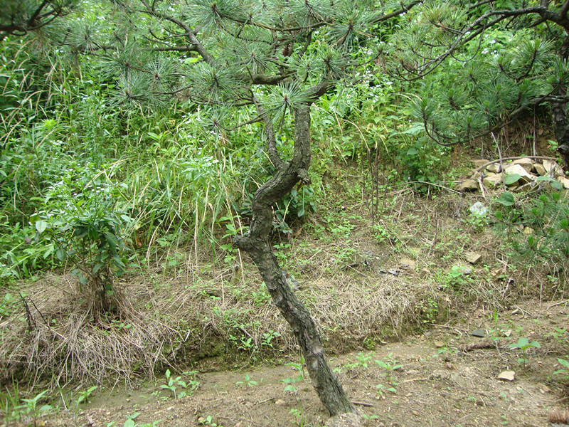 DSC01107_.jpg