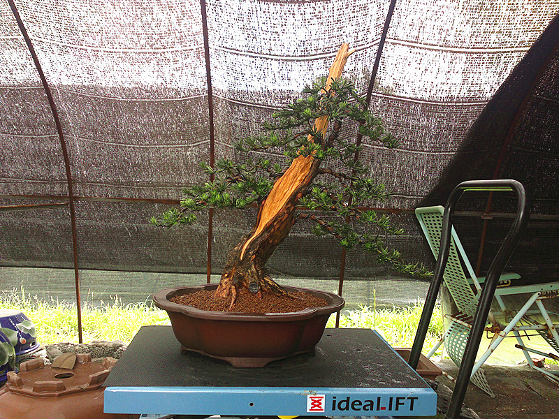 20130615204_.jpg