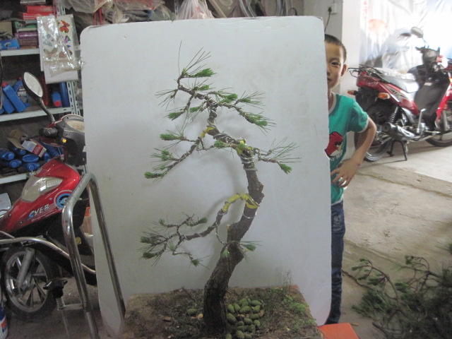 13-06-15���� 001.jpg