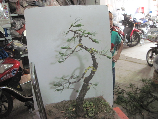 13-06-15���� 002.jpg