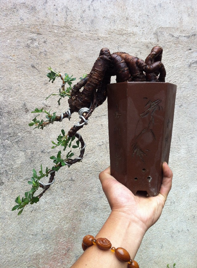 QQͼ20130615224415.jpg