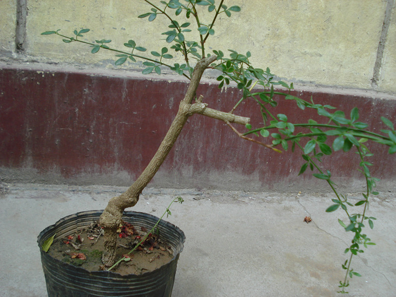 DSC05557_.jpg
