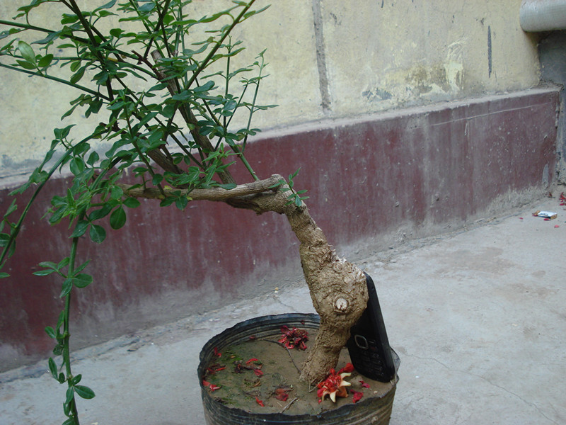 DSC05560_.jpg
