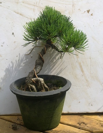 20130616417.jpg