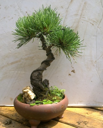 20130616418.jpg