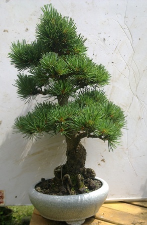 20130616419.jpg