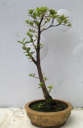 20130616409.jpg