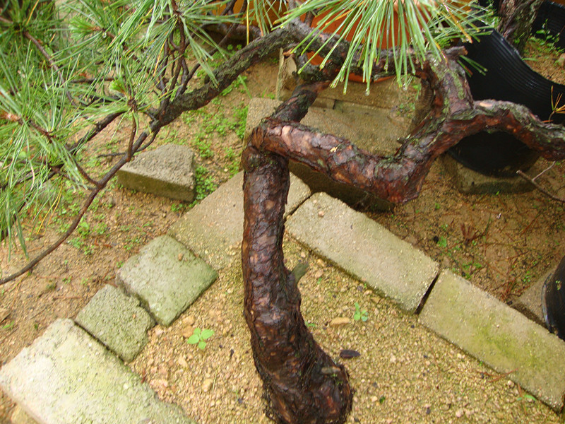 DSC01160_.jpg