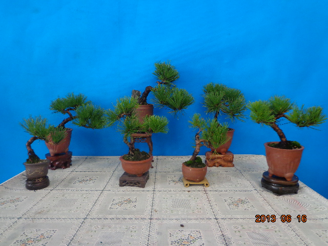 DSC00656.JPG