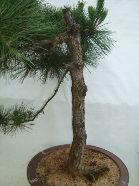 DSC07383_ͼ.jpg