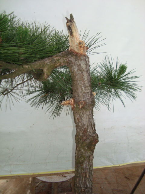 DSC07385_ͼ.jpg