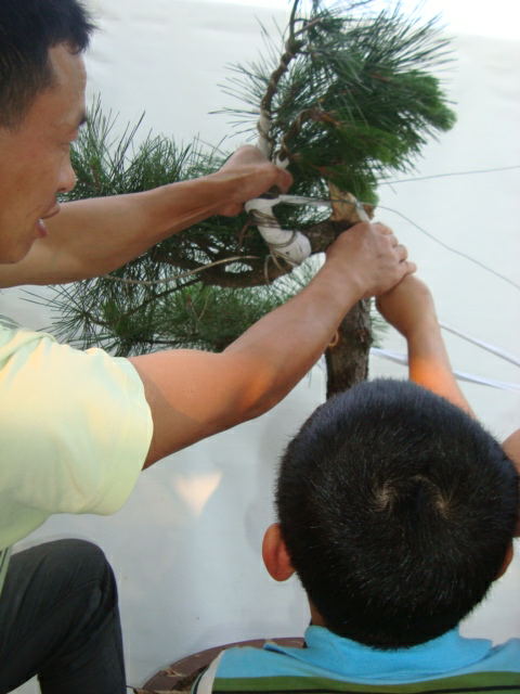 DSC07386_ͼ.jpg