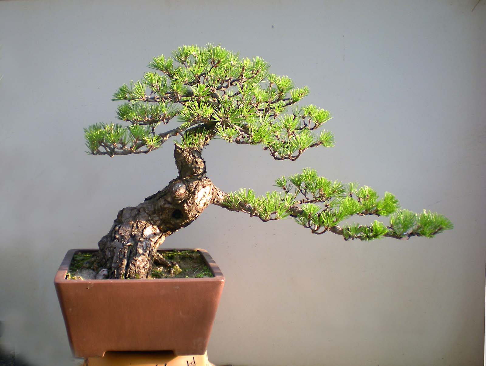 DSCN4181 ����.jpg