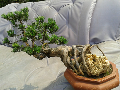 2013-06-17 13.49.01.jpg