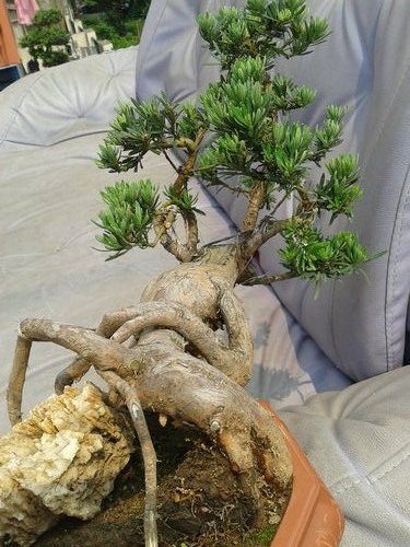 2013-06-17 13.50.09.jpg