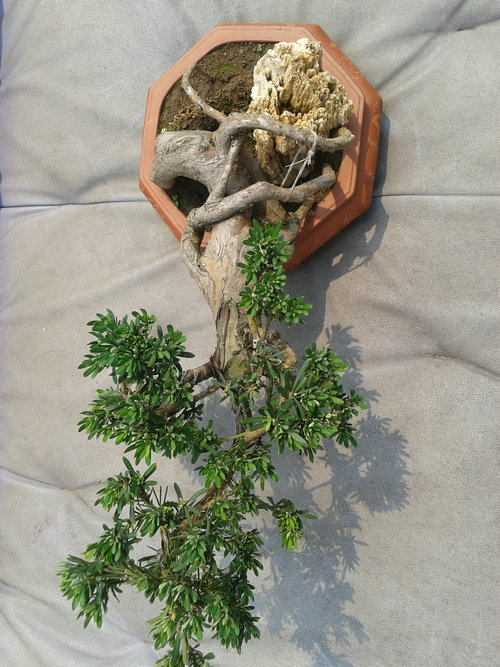 2013-06-17 13.47.59.jpg