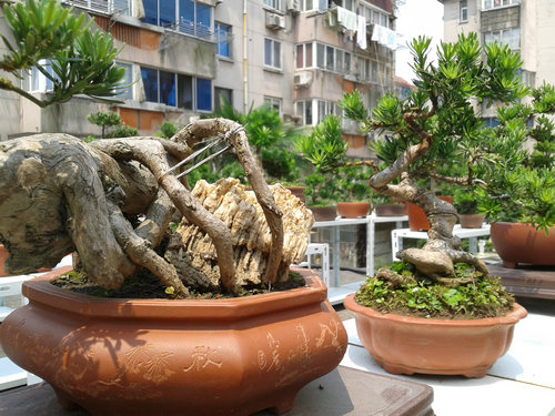 2013-06-17 13.19.00.jpg