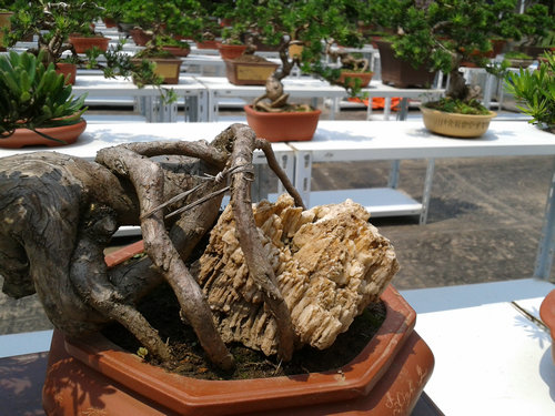 2013-06-17 13.19.18.jpg