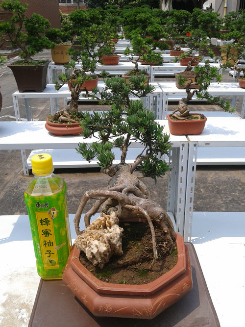 2013-06-17 13.14.22.jpg