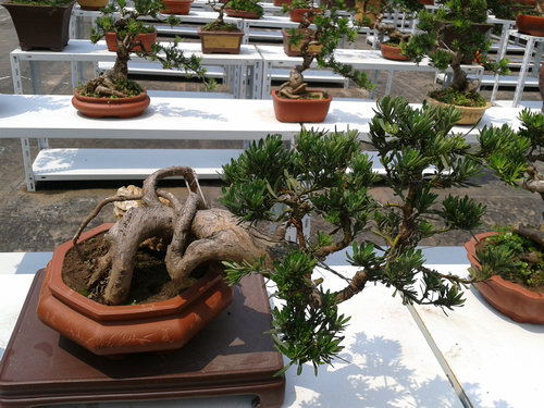 2013-06-17 13.16.41.jpg