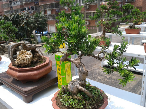 2013-06-17 13.09.49.jpg