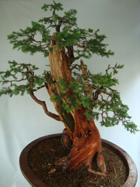 DSC07404_ͼ.jpg