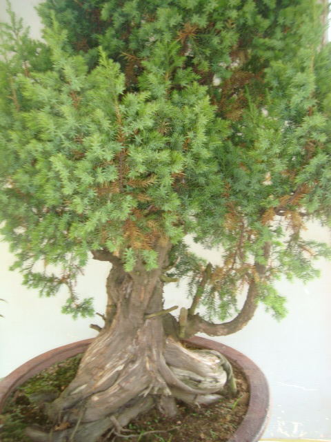 DSC07398_ͼ.jpg