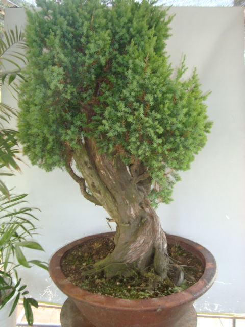 DSC07397_ͼ.jpg