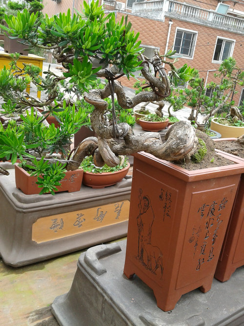 2013-06-15 14.08.47.jpg