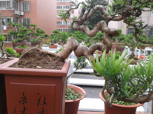 2013-06-15 14.19.35.jpg