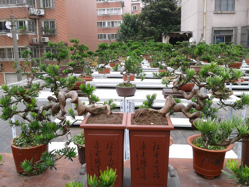 2013-06-15 14.07.40.jpg