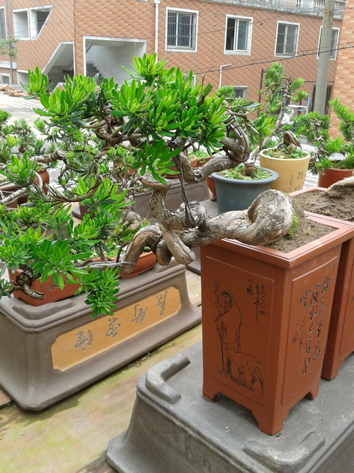 2013-06-15 14.08.28.jpg