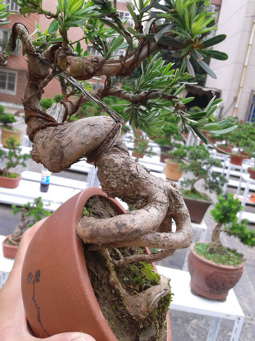 2013-06-15 15.58.29.jpg