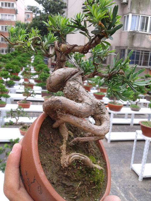 2013-06-15 16.01.24.jpg