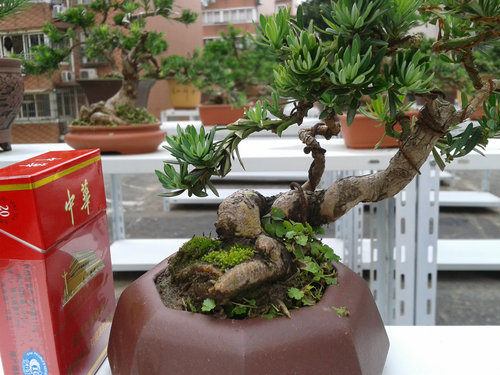 2013-06-13 14.46.03.jpg