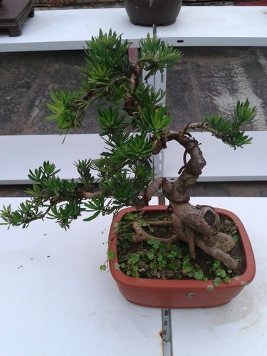 2013-06-11 16.56.08.jpg