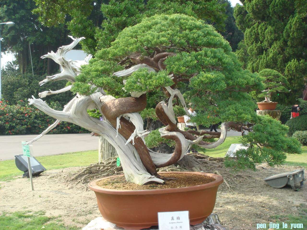 odd7Tx1W9SAQOVHsaMnsBA.jpg