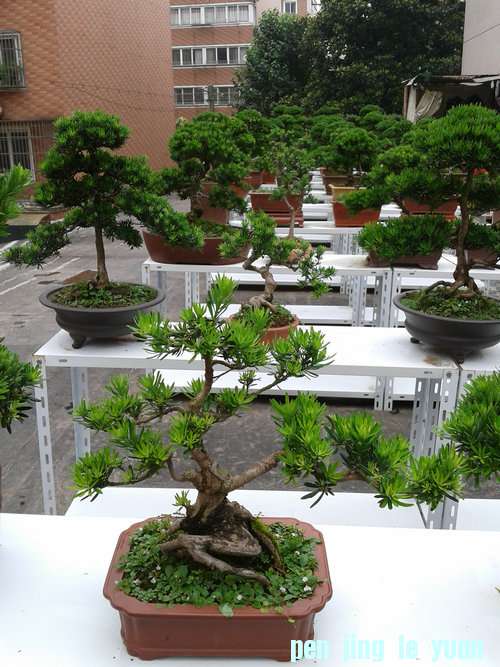 2013-06-19 13.22.49.jpg